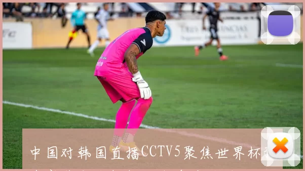 中国对韩国直播CCTV5聚焦世界杯预选赛焦点战解析双方争夺关键积分
